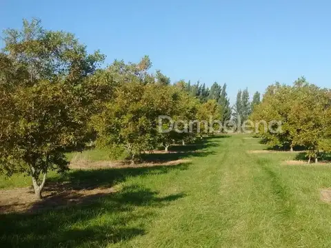 Campo en Venta en Punta Indio, Partido de Punta Indio
