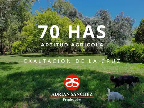 Campo en Venta en Exaltacion de la Cruz, Partido de Exaltación de la Cruz
