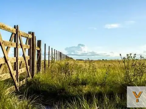 Campo en Venta en Cañuelas, Partido de Cañuelas