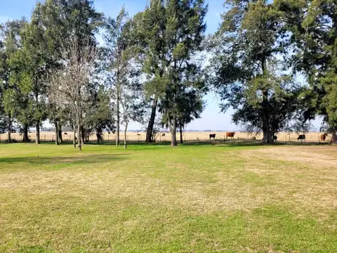 Campo en Venta en San Vicente, Partido de San Vicente