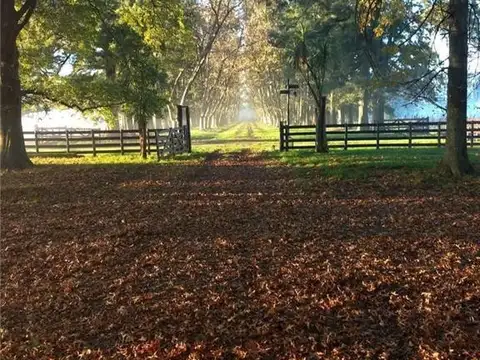 Campo en Venta en General Rodriguez, Partido de General Rodríguez
