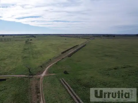 Campo en Venta en General Rodriguez, Partido de General Rodríguez