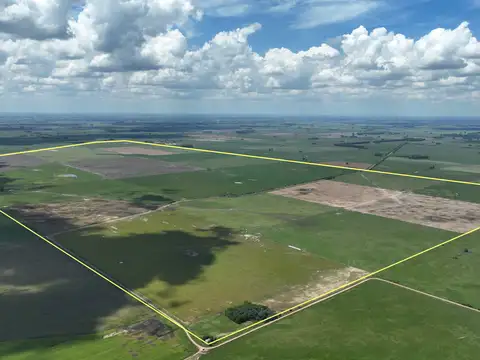 Campo en Venta en San Andres de Giles, Partido de San Andrés de Giles