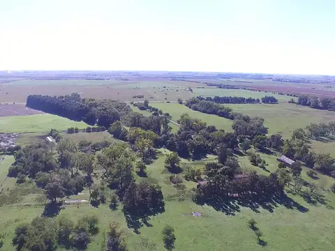 Campo en Venta en Bme Bavio Gral Mansilla, Partido de Magdalena