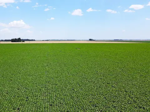 Campo en Venta en Miramar, Partido de General Alvarado