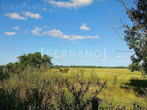 Campo en Venta en Campana, Partido de Campana