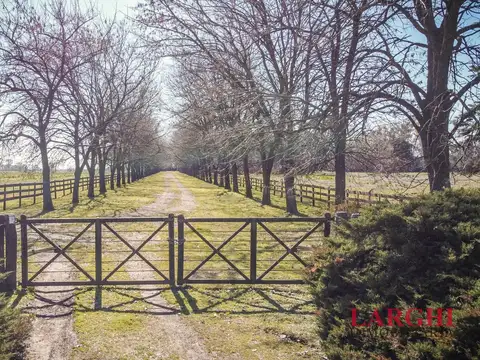 Campo en Venta en Parada Robles, Partido de Exaltación de la Cruz