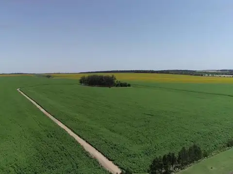 Campo en Venta en Mar del Plata, Partido de General Pueyrredón