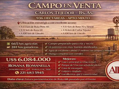 Campo en Venta en Esteban de Luca, Partido de Carlos Tejedor