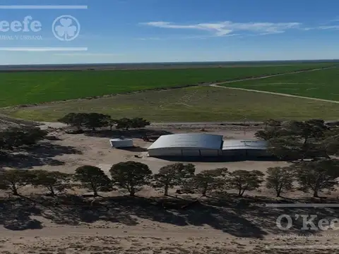 Campo en Venta en Igarzabal, Partido de Patagones