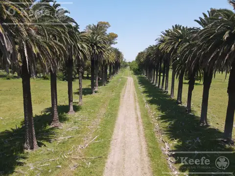 Campo en Venta en Coronel Brandsen, Partido de Brandsen