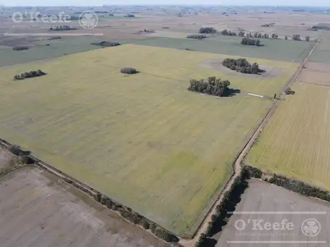 Campo en Venta en Chivilcoy, Partido de Chivilcoy
