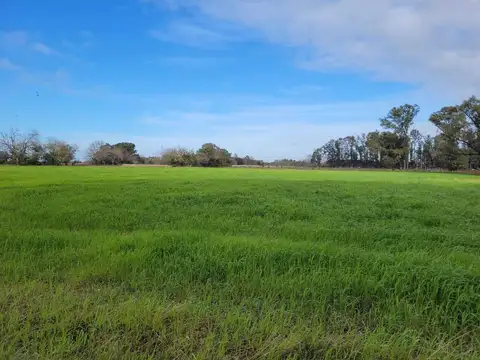 Campo en Venta en Pilar, Partido de Pilar