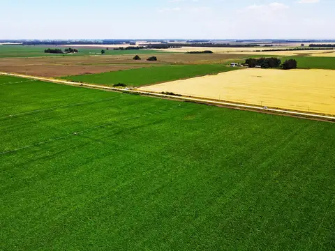 Campo en Venta en Miramar, Partido de General Alvarado