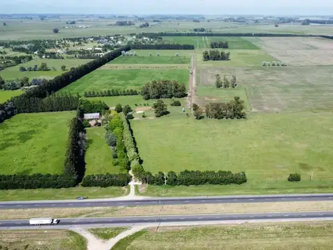 Campo en Venta en Plomer, Partido de General Las Heras