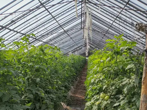 Campo en Venta en Zarate, Partido de Zárate