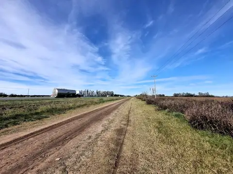 Campo en Venta en Villa Ramallo, Partido de Ramallo