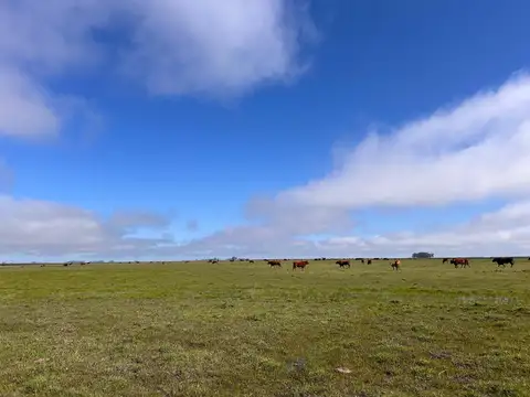 Campo en Venta en Balcarce, Partido de Balcarce