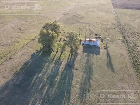 Campo en Venta en Olavarria, Partido de Olavarría