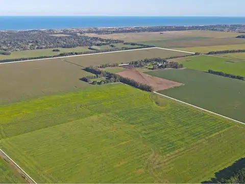 Campo en Venta en Mar del Plata, Partido de General Pueyrredón