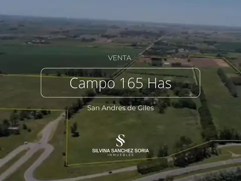 Campo en Venta en San Andres de Giles, Partido de San Andrés de Giles