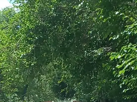 Campo en Venta en Otamendi, Partido de Campana