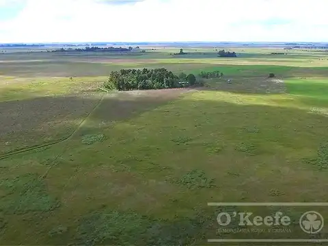 Campo en Venta en Chascomus, Partido de Chascomús