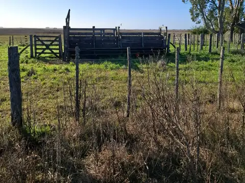 Campo en Venta en General Juan Madariaga, Partido de General Juan Madariaga
