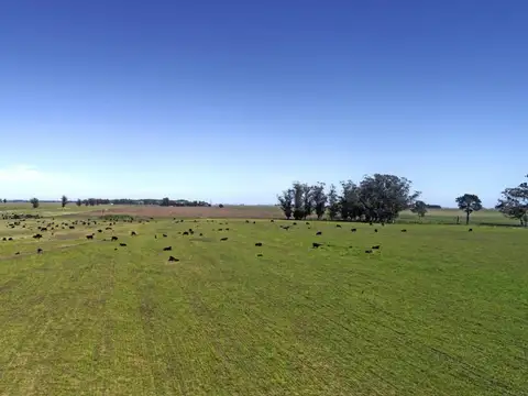 Campo en Venta en Mar del Plata, Partido de General Pueyrredón
