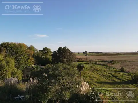 Campo en Venta en Samborombon, Partido de Brandsen