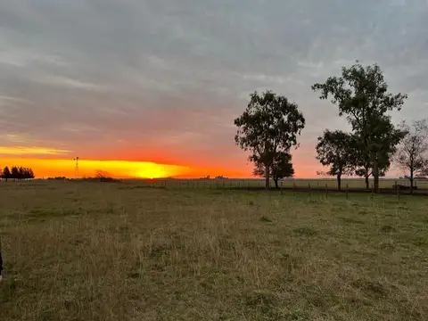 Campo en Venta en Domselaar, Partido de San Vicente
