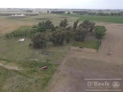 Campo en Venta en Saladillo, Partido de Saladillo