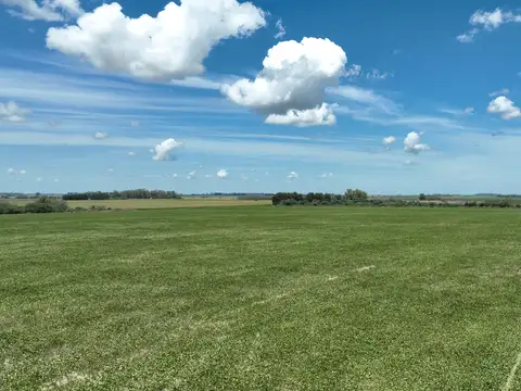 Campo en Venta en San Pedro, Partido de San Pedro