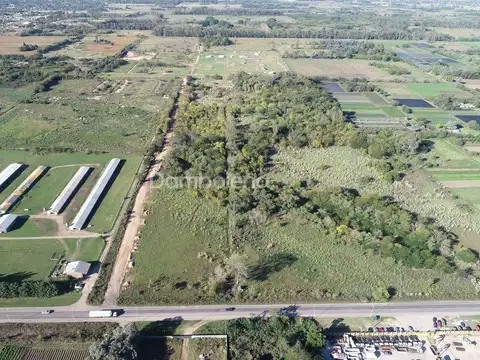 Campo en Venta en Pilar Centro, Pilar