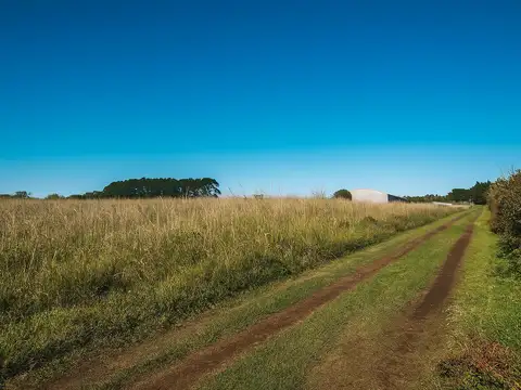 Campo en Venta en Sierra De Los Padres, Mar del Plata