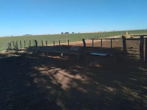 Campo en Venta en Ingeniero Thompson, Partido de Tres Lomas