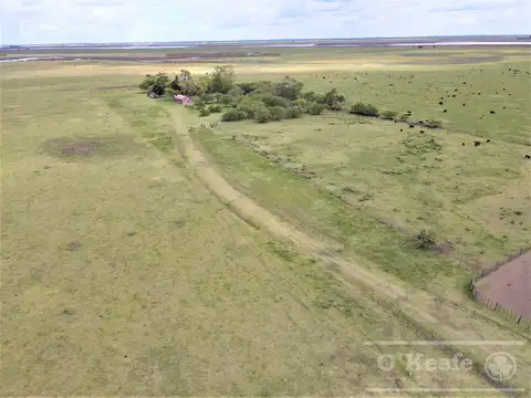Campo en Venta en General Juan Madariaga, Partido de General Juan Madariaga