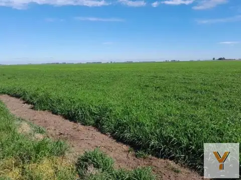Campo en Venta en San Cayetano  - Lujan, Lujan