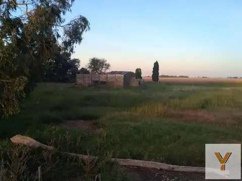 Campo en Venta en Bolivar, Partido de Bolívar