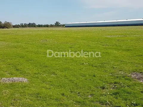 Campo en Venta en Centro  - Zarate, Zarate
