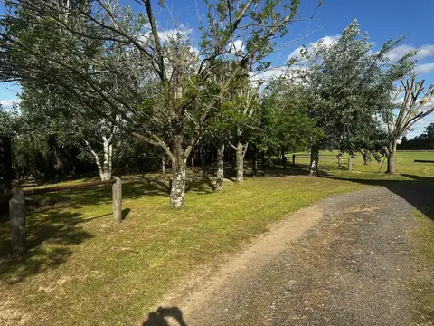 Campo en Venta en Parada Robles, Partido de Exaltación de la Cruz