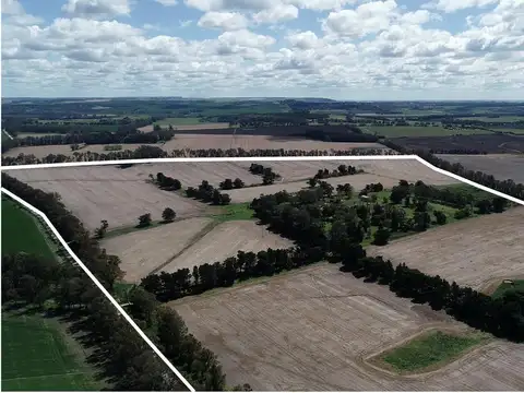 Campo en Venta en Barrio Batan, Partido de General Pueyrredón