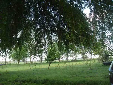 Campo en Venta en Cañuelas, Partido de Cañuelas