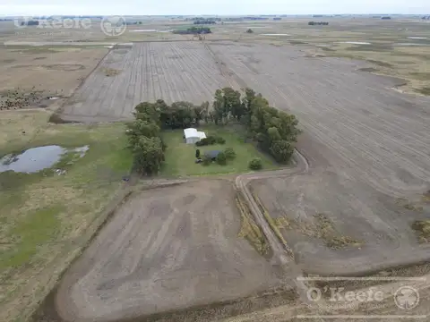 Campo en Venta en General Alvear, Partido de General Alvear