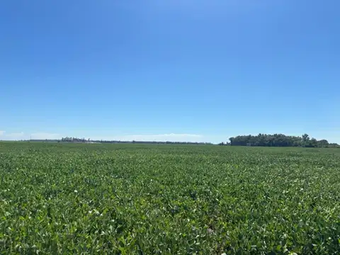 Campo en Venta en San Pedro, Partido de San Pedro