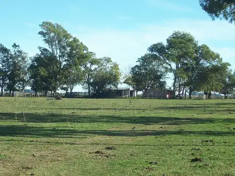 Campo en Venta en General Juan Madariaga, Partido de General Juan Madariaga