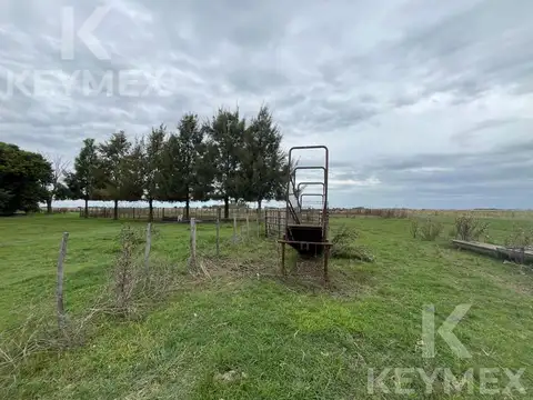 Campo en Venta en Magdalena, Partido de Magdalena