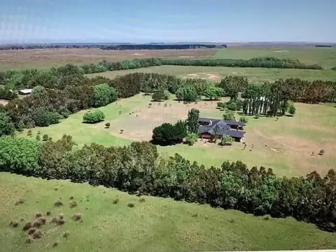 Campo en Venta en Pinamar, Partido de Pinamar