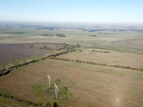 Campo en Venta en General las Heras, Partido de General Las Heras
