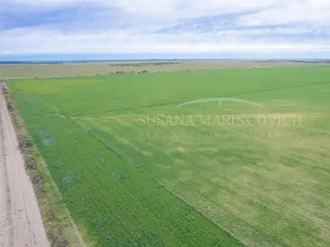 Campo en Venta en Carmen de Patagones, Partido de Patagones